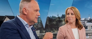 Det är läge för nya allianser och nyanser i svensk politik