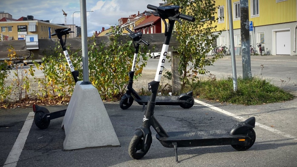 Last year, Bird rented out electric scooters in Skellefteå. The company will not return this summer, but another company has shown interest in renting out electric scooters.