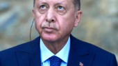 Det är inte Turkiet vi söker medlemskap i – utan Nato!