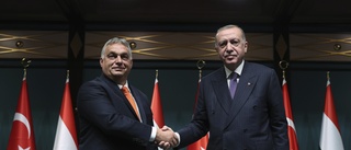 Kryperi för Turkiet gör oss inte till ett Natoland