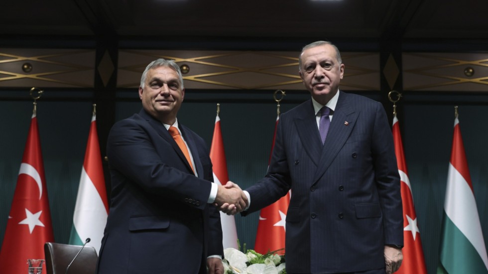 Kaka söker maka. Ungerns premiärminister Orbán och Turkiets president Erdogan har nära och goda kontakter. Än så länge  håller båda länderna inne sina godkännanden av Finlands och Sveriges Natoansökningar.
