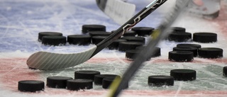 Det finns hockeygymnasium utan elitsatsning