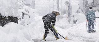 Flera döda i snöoväder i Japan