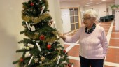 Hemlig välgörare bakom lysande julgran på boende • Eva Dargin: "Vill gärna veta vem som lämnat den så vi kan visa vår uppskattning"