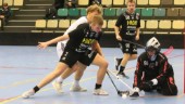 Tvåmålsskytt i debuten efter två svåra knäskador: "Alltid skönt att slå Linköping"
