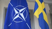 Nato kan stoppa vårt vanskötta land