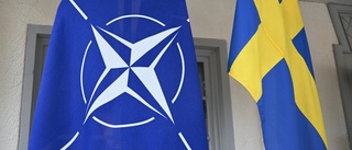 Nato kan stoppa vårt vanskötta land