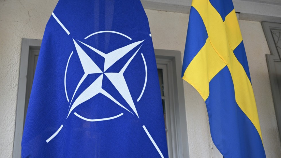 Insändarskribenten menar att Sverige är ett vanskött land ur säkerhetssynpunkt, vilket kan sätta stopp för Natomedlemskap.