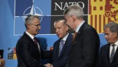 Nästan i Nato – detta fattas för Finland