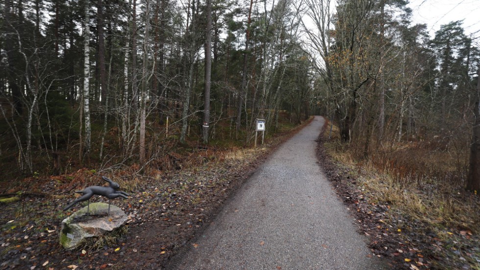 2022 har varit en bedrövelse att se det gradvisa förfallet av Kronskogen få fortgå, skriver Nils Wallin i Eskilstuna.