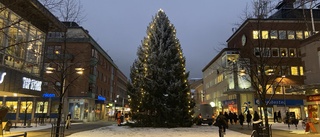 Granen är på plats på Storgatan