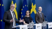 Sverigedemokraterna förlorade –lägre lönekrav för arbetstillstånd