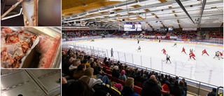 Mögel och bristande hygien upptäcktes i Gränbyhallen