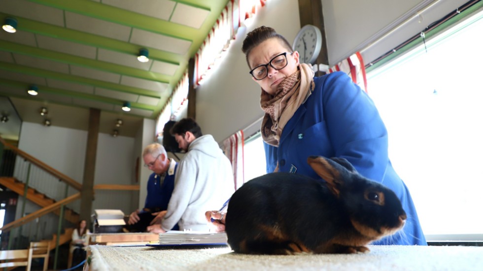 Eva-Lena Lönndahl var en av de domare som bedömde över 250 kaniner i Ljungsbro under lördagen. "Avel är absolut positivt för kaninerna", säger hon.
