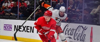 Berggren om NHL-succén: "Kommit långt med mitt eget spel" • Detroitstjärnan: "Han gör skillnad"