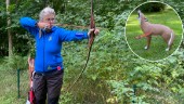Hittade drömboendet – Stallarholmens världsmästare skjuter för ny medalj: "Nummer ett i Sverige"