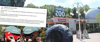 Barn slog djuren – så ska stök på årets familjedag på Parken zoo undvikas: "Tagit lärdomar från förra året"