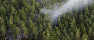 Brandflyg upptäckte skogsbränder i närheten av Aspa