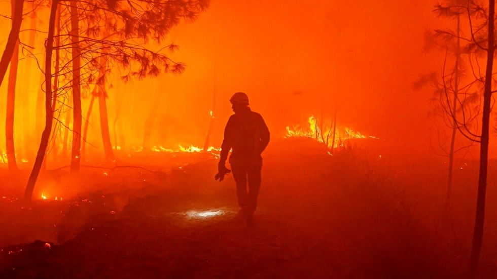 Skogsbrand i Frankrike. Foto: AP/TT.