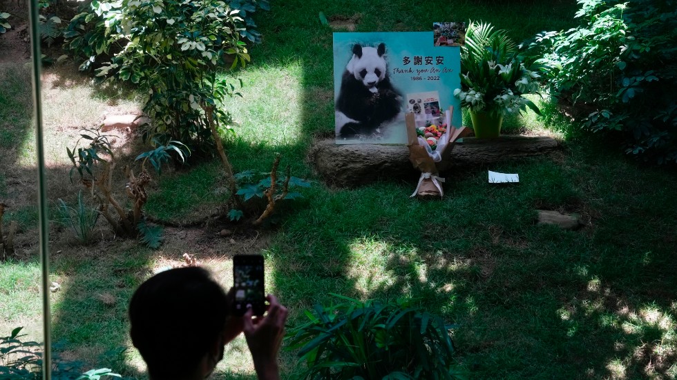 Många djurparksbesökare uttrycker sorg över An Ans död.