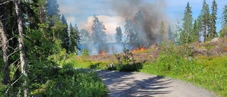 Sommarstugor hotades av skogsbrand i Luleå