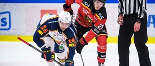 Boden Hockey värvar SHL-meriterad forward från Luleå