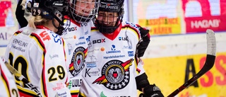 Luleå Hockeys gamla guldhjälte är klar för Modo