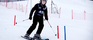 Hårt arbete skapade lyckad slalomtävling i Vilsta