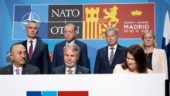 Vägen mot Nato kräver omsorgsfull bevakning