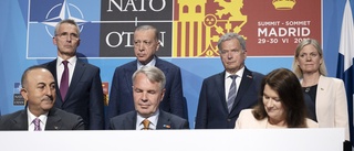 Vägen mot Nato kräver omsorgsfull bevakning