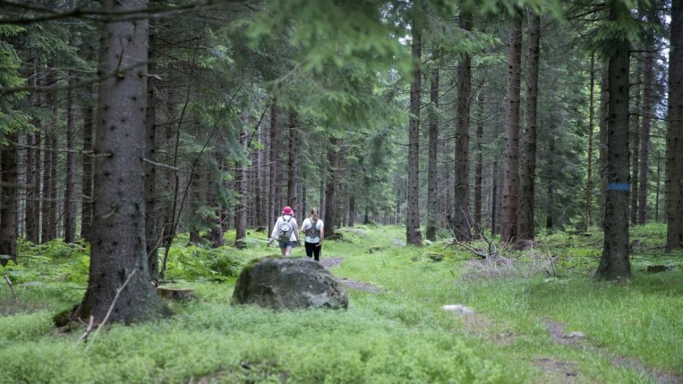 Antalet naturreservat i Östergötland har under de sju senaste åren stigit från knappt 200 till 264. Nu ser det dock ut som om arbetet med att bilda naturreservat avstannar.