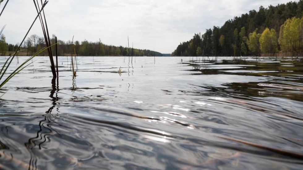 Spara på vatten. Det uppmanar Västervik miljö och energi. I ytvattentäkterna sjunker nivån med 3-4 centimeter i veckan.