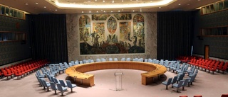 Vad ska Sverige i FN:s säkerhetsråd att göra?
