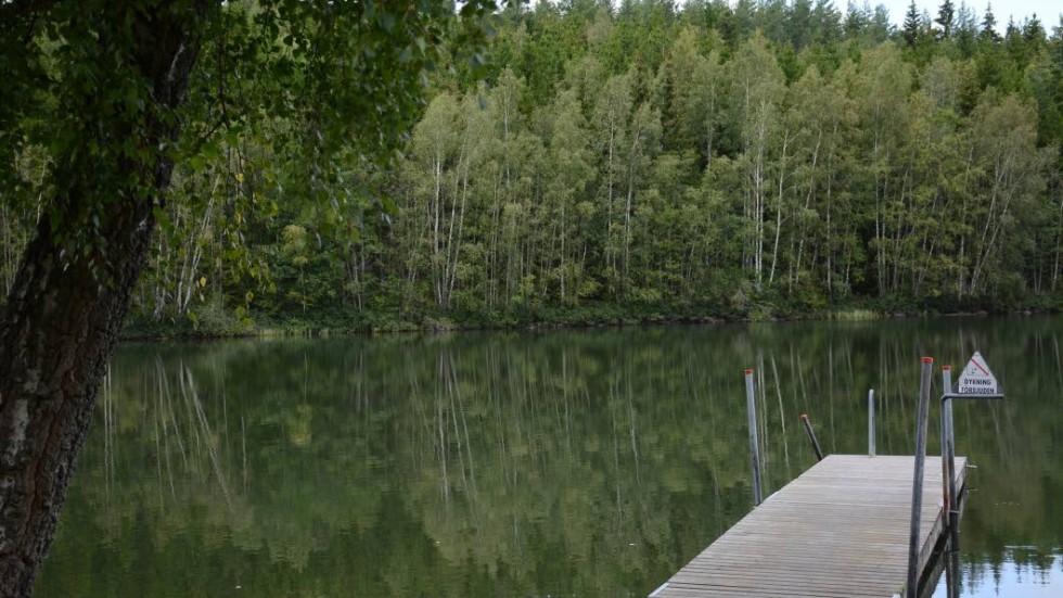 Borstingen med bryggan vid badplatsen där bastuföreningen  driver sin verksamhet är en tillgång att skydda, liksom naturen rakt över sjön, menar ett 75-tal kritiker som vill stoppa kommunens exploateringsplaner.
