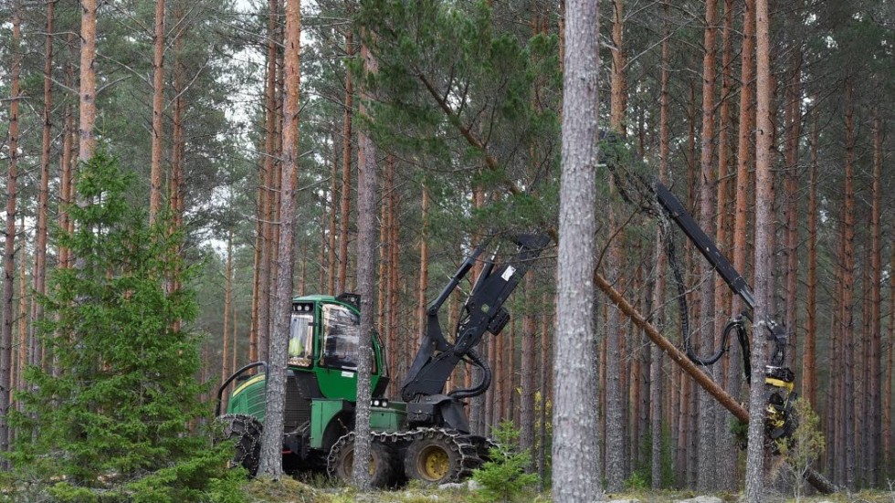 En stor del av de flesta kommunerna i Kalmar län består av skogsmark.