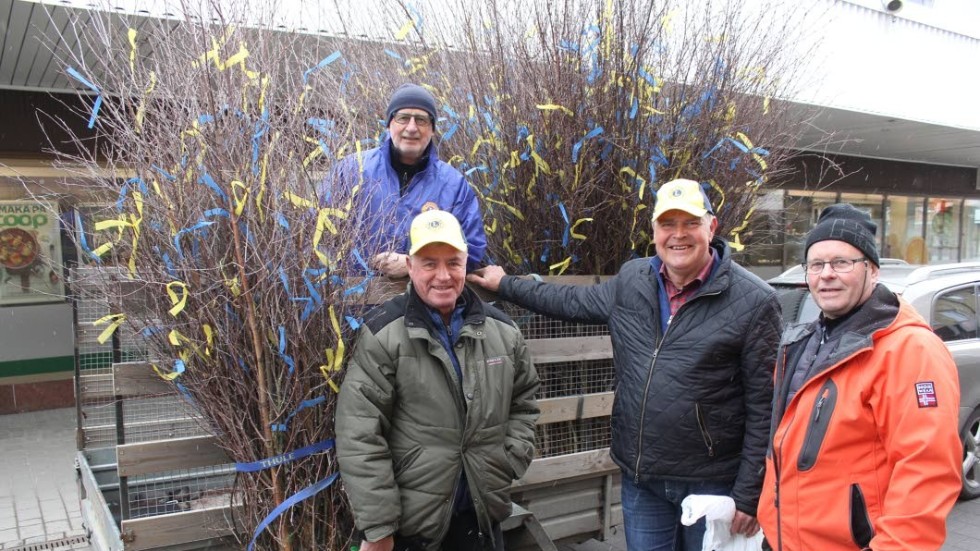 122 påskris – med pappersband – har Hultsfreds Lions Club sålt i år. Det ger 12 000 kronor till hjälpverksamhet. På bilden Boris Widén, Jan Almqvist, Göte Nilsson och Sven-Åke Logg.