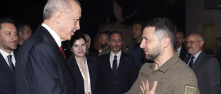 Erdogan: Ukraina förtjänar Natomedlemskap