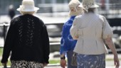 Tillfällig sommarvärme kommer till veckan