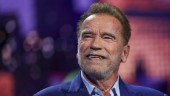 Schwarzeneggers "Fubar" får en säsong två