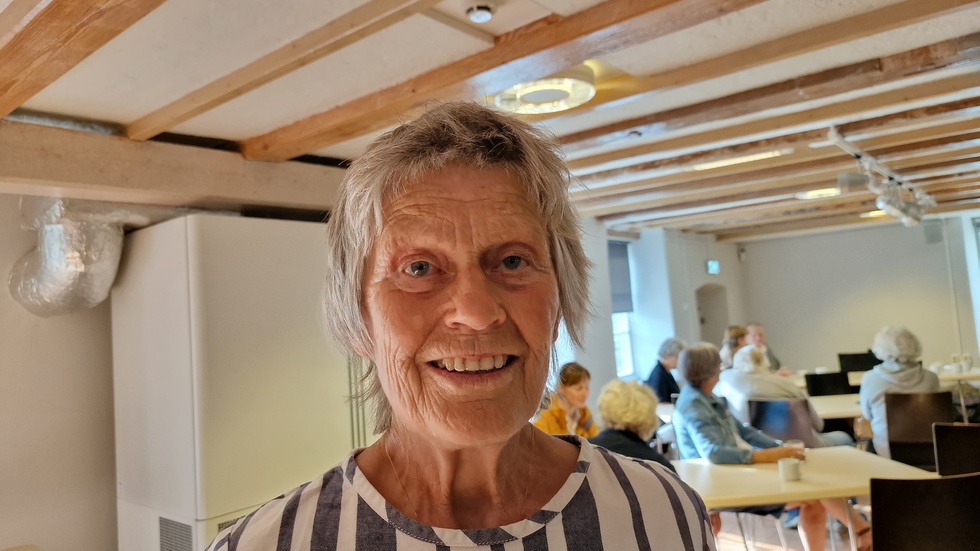 Gitte Jutvik Guterstam (V) önskar mer bevakning av lokalpolitiken i östra Sörmland.
