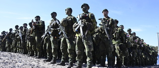 Försvaret ser risker med utdraget Natobesked