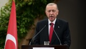Erdogan: Sveriges terrorlag "meningslös"