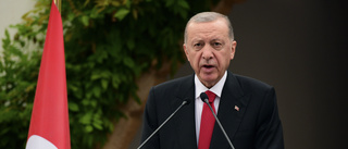 Erdogan: Sveriges terrorlag "meningslös"