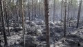 Med värmen ökar risken för skogsbrand