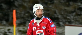 Försvararen stannar i Kalix Bandy