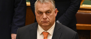 Orbán: Relationen till Sverige "fruktansvärt dålig"
