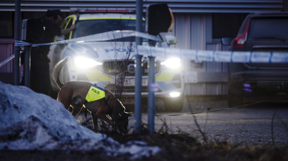 Polisen undersöker den plats där en man hittades skottskadad i Umeå. Arkivbild.