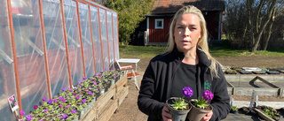 Våren är här – dags för gödsel och perenner