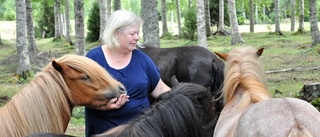 Ann-Christines hästar får toppbetyg