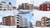 Så får du tag i lägenhet: Guide till Skellefteås bostadsmarknad